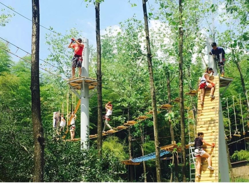 户外探险丛林飞跃